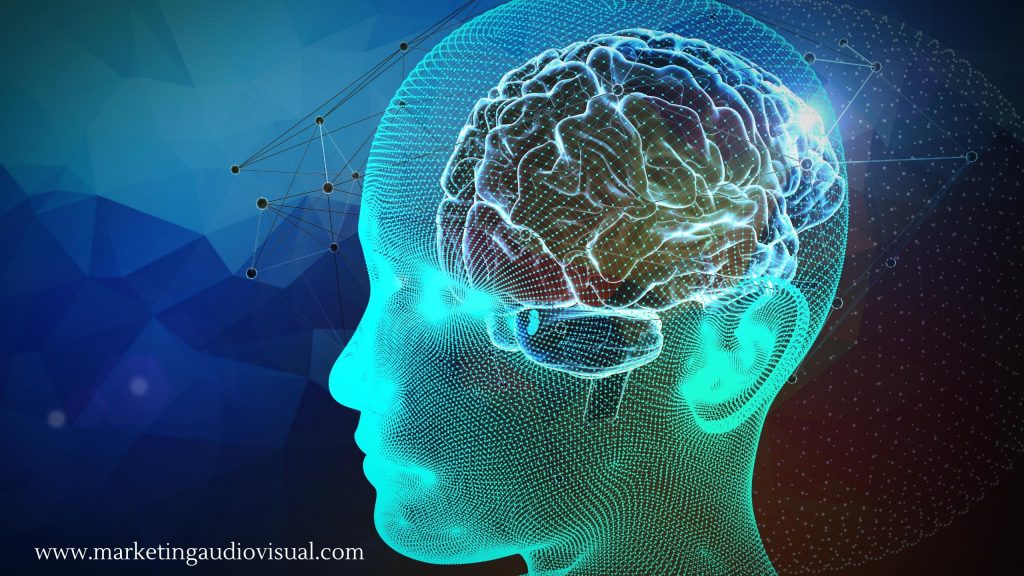 neurociencia cerebro marketing audiovisual